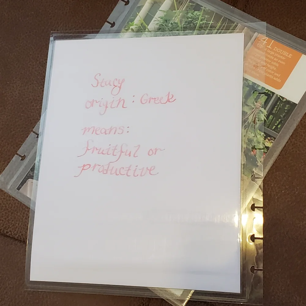 Homemade cover for your Classic size Disc Bound Planner Stacy